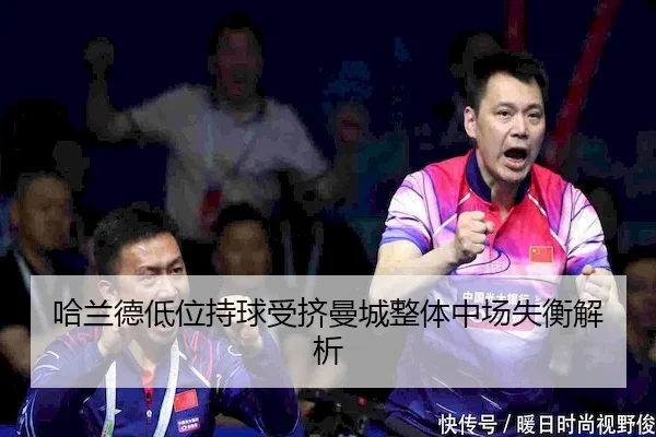 ha-lan-de-di-wei-chi-qiu-shou-ji-man-cheng-zheng-ti-zhong-chang-shi-heng-jie-xi-2-384.jpg